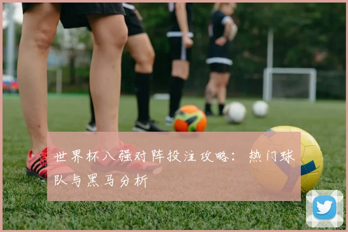 世界杯八强对阵投注攻略：热门球队与黑马分析